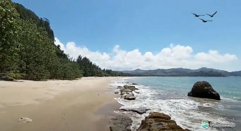 Pantai di Malang Selatan - referensi suasana wisata bahari Malang